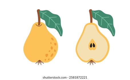 Hand-Drawn Whole and Sliced Pear vector illustration. Abstract simple illustration of a whole pear and a sliced pear with green leaves. Perfect for food designs, prints and branding	