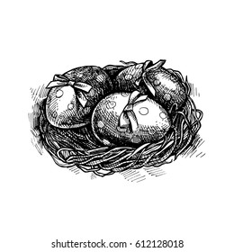 Hand-drawn wicker nest with Easter eggs. Ink sketch. Spring easter illustration.