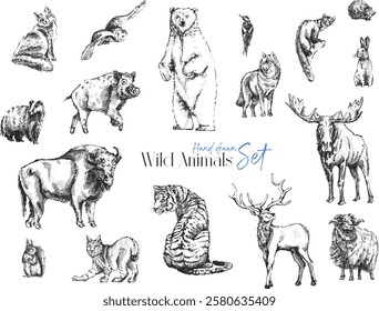 Hand-Drawn Wild Animals Set vector