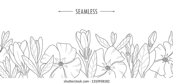 Hand-drawn wild flowers and leaves. Vector periwinkle flowers for invitation, wedding or greeting cards. Outline botanic elements isolated on white background. Seamless.