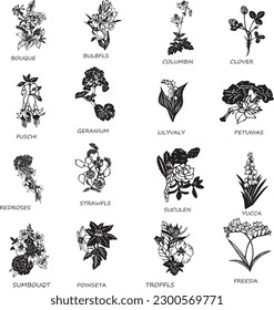 Hierbas silvestres y flores dibujadas a mano. Ilustración de esbozo de vector