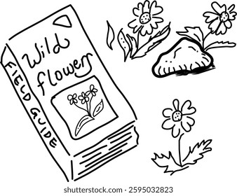 Hand-drawn wildflower field guide vector doodle. Wildflower field guide and three wild flowers. Remember your field guide on your spring hikes!