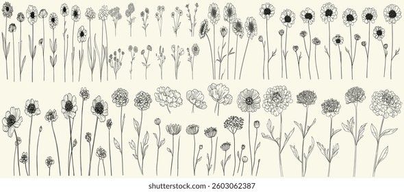 Hand-drawn wildflowers and botanical floral branch in intricate black line art for chic wedding stationery, eco-conscious branding, boho-themed decor, vintage invitations, trendy greenery
