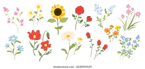 Flores silvestres desenhadas à mão em estilo rústico. Ilustrações planas de margarida, papoula, rosa, girassol e plantas de prado de verão Coleção de vetor para design floral, embalagem ecológica, decoração de casamento e impressões de tecido