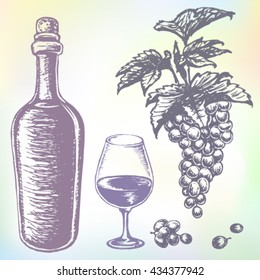 Hand-drawn wine vector. Grape wine or beverage drink set. Ink drawn grape wine illustration with wine, grape, wine bottle, wine glass, grapes, grape bunches, grape berries and grape leaves.