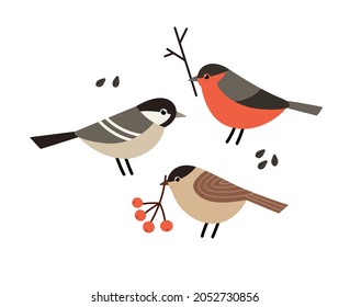 Hand-drawn winter birds with berry and seeds. Willow tit, coal tit, Eurasian bullfinch. Concept of the winter season, winter holidays, Christmas. Vector illustration isolated on white.