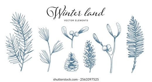 Hand-drawn winter botanical elements including pine branches, mistletoe, and pinecones. Vector illustration for nature-themed designs	