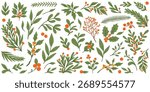 Hand-drawn winter botanical vector set with holly, pine branches, red berries, mistletoe and leaves. Flat modern Christmas clipart for holiday decoration and design.