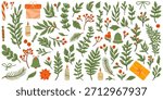 Hand-drawn winter botanical vector set with holly, pine branches, red berries, mistletoe and leaves. Flat modern Christmas clipart for holiday decoration and design.