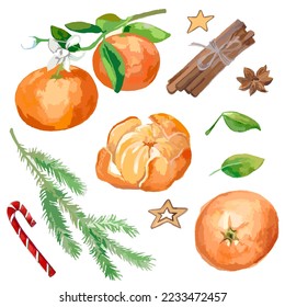 A hand-drawn winter set has been translated into a vector - tangerines on a branch, peeled tangerine, a sprig of spruce, cinnamon, striped lollipop