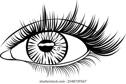 Hand-drawn woman eye with eyelid, liner and full lashes. Beautiful Single eye. Vision logo design vector illustration