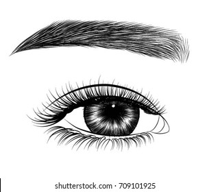 Hand-drawn woman's asian eye with perfectly shaped eyebrows and full lashes. Idea for business visit card, typography vector.Perfect salon look