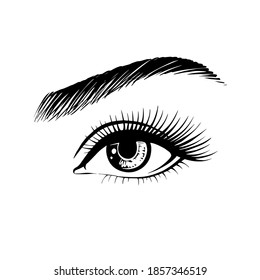 Hand-drawn woman's eye with eyebrow and long eyelashes. Fashion illustration. Makeup, beauty salon symbol, decorative cards..