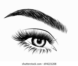 Hand-drawn woman's eye with perfectly shaped eyebrows and full lashes. Idea for visit card