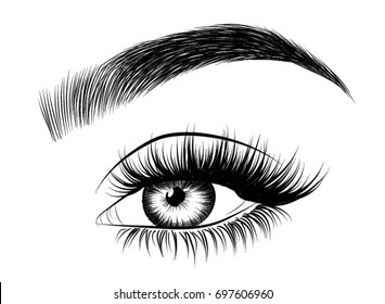 Hand-drawn Woman's Eye With Perfectly Shaped Eyebrows And Full Lashes. Idea For Business Visit Card