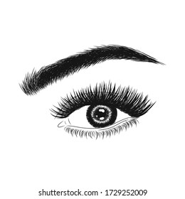 Hand-drawn woman's eyes. Idea for business cards, banners, signboards. Vector illustration. Perfect eyelashes, eyebrows