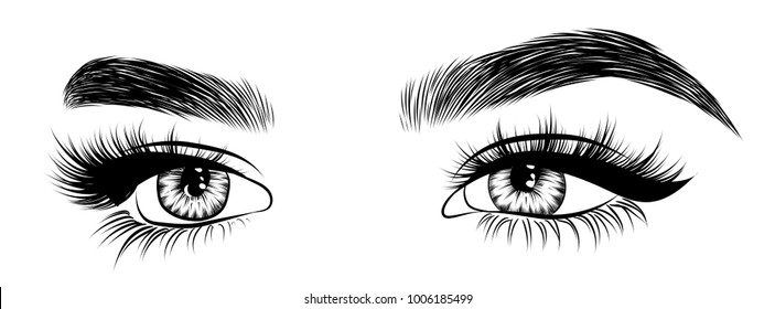 Illustration Womans Eyes Eyelashes Eyebrows Realistic Stock Vector Royalty Free 1552086998 4867