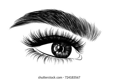 Hand-drawn woman's fresh makeup look with perfectly shaped eyebrows and full lashes. Idea for business visit card, typography vector.Perfect salon look