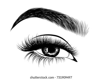 Hand-drawn woman's fresh makeup look with perfectly perfectly shaped eyebrows and extra full lashes. Idea for business visit card, typography vector.Perfect salon look