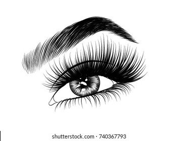 Hand-drawn woman's fresh makeup look with perfectly perfectly shaped eyebrows and extra full lashes. Idea for business visit card, typography vector.Perfect salon look