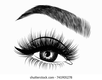 Hand-drawn woman's fresh makeup look with perfectly perfectly shaped eyebrows and extra full lashes. Idea for business visit card, typography vector.Perfect salon look