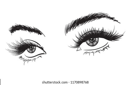 Handdrawn Womans Luxurious Eye Perfectly Shaped Stock Vector (Royalty ...