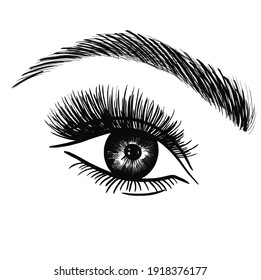Hand-drawn woman's luxurious eye with perfectly shaped eyebrows and full lashes. vector illustration  for business visit card, typography vector. Perfect salon look.