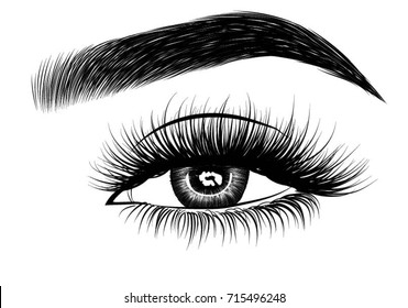 Hand-drawn woman's luxurious eye with perfectly shaped eyebrows and full lashes. Idea for business visit card, typography vector.Perfect salon look