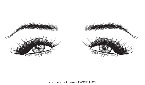 Handdrawn Womans Luxurious Eyes Perfectly Shaped Stock Vector (Royalty ...