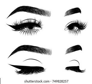 Hand-drawn woman's sexy luxurious eye with perfectly shaped eyebrows and full lashes. Idea for business visit card, typography vector.Perfect salon look.