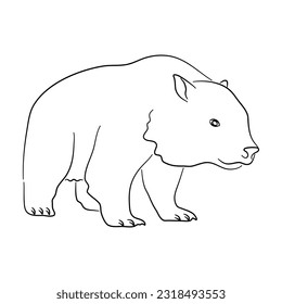 Hand-drawn Wombat. Sketch vector illustration. 