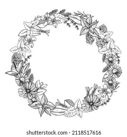 Hand-drawn wreath of medicinal herbs.  Vector sketch  illustration.