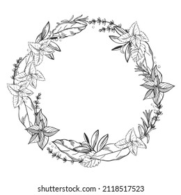 Hand-drawn wreath of spicy herbs.  Vector sketch  illustration.
