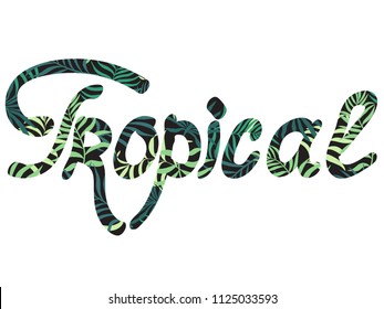 Hand-drawn written phrase Tropical. Vector background