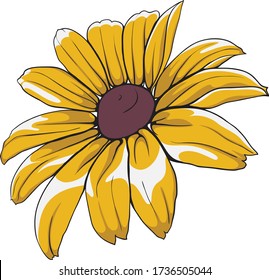 Hand-drawn yellow black-eyed Susan vector illustration. Elegant flower with black contour and wonderful colors.