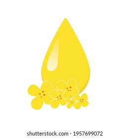 Hand-drawn yellow canola flower. Rapeseed oil. Brassica napus. Cartoon vector drop. Flat style. All elements are isolated. Cute design for your project, logo, emblem.