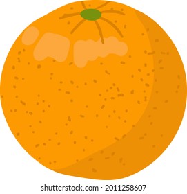 Hand-drawn yellow orange vector illustration. Farm organic ingredient for juice. Vegetarian diet  illustration. 