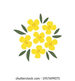 Hand-drawn yellow rapeseed flower. Blooming branch for postcards, logos. Flat style. Cartoon vector canola buds. All elements are isolated. Cute design for your project.