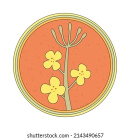 Hand-drawn yellow rapeseed flower. Blooming branch for postcards, logos. Flat retro style. Cartoon vector canola plant. All elements are isolated. Cute design for your icon, sticker, pin.