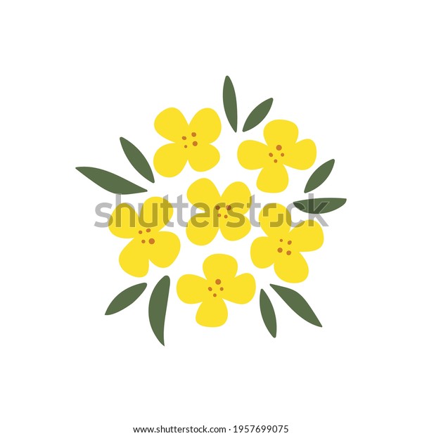 Hand-drawn yellow rapeseed\
flower. Blooming branch for postcards, logos. Flat style. Cartoon\
vector canola buds. All elements are isolated. Cute design for your\
project.