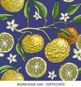 Hand-drawn yuzu background design. Vintage citrus branches, white flowers, leaves, whole fruit, cut half-piece sketches. Seamless healthy food pattern. Exotic plant illustration for print