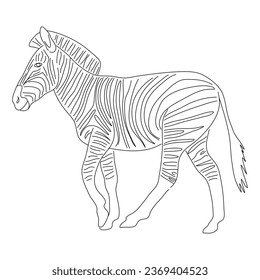 Hand-drawn Zebra. Vector editable stroke.