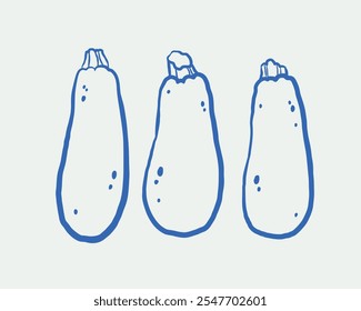 Hand-drawn Zucchini Illustration Set. Line art, ink, minimalist style. Vector illustration.