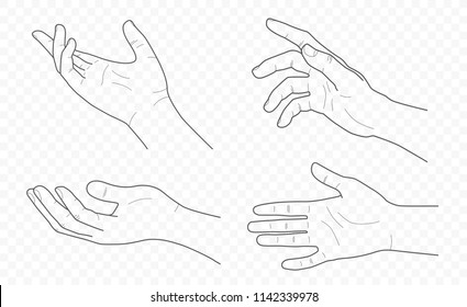handdrown vector outline and contour illustration of hands with fingers in different gestures  with open palms 