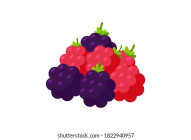 Handful of blackberries and raspberry. Fresh berries isolated in white background. Vector illustration in cartoon style