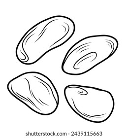 Handful of cocoa beans, hand drawn outline black and white drawing