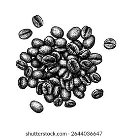 Un puñado de granos de café. Boceto de tinta aislada. Ilustración vectorial dibujada a mano. Estilo Antiguas.