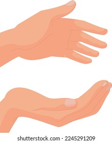 Handful gesture icon. Pair of open human hands isolated on white background