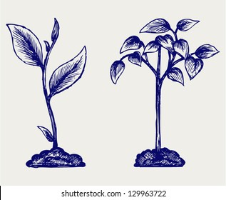 Handful of the ground and plant. Doodle style