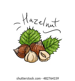 A handful of hazelnuts and leaves